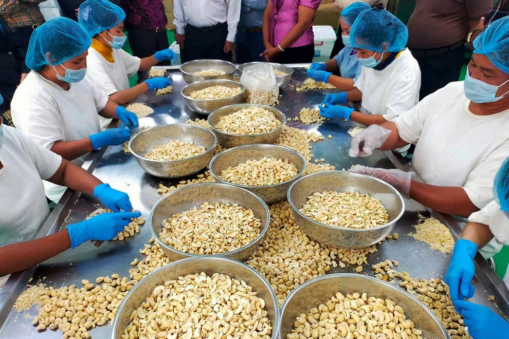 Cashew exports to Vietnam dip amid price fluctuations
